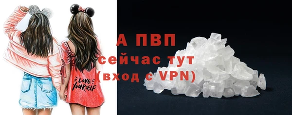дурь Богданович