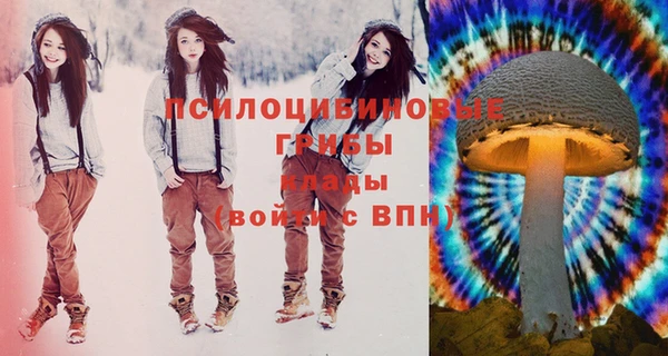 дурь Богданович