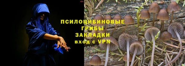 дурь Богданович