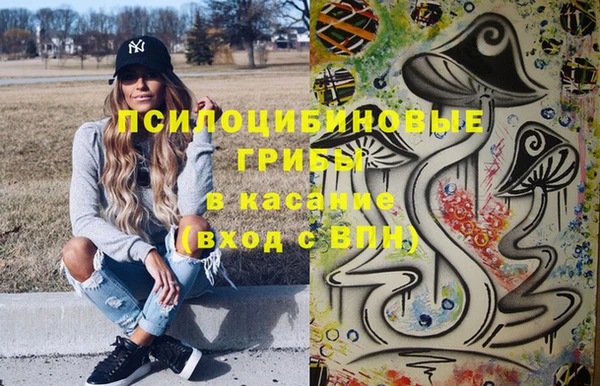 дурь Богданович
